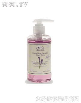 嘉豐化妝品貿易公司 科技賦能，引領身體護理新潮流